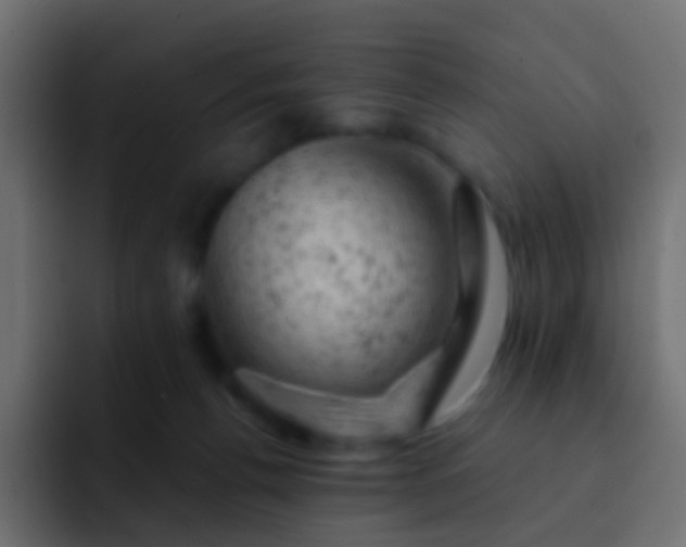 X0000093170176200710031510