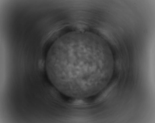 X0000093170177200710031510