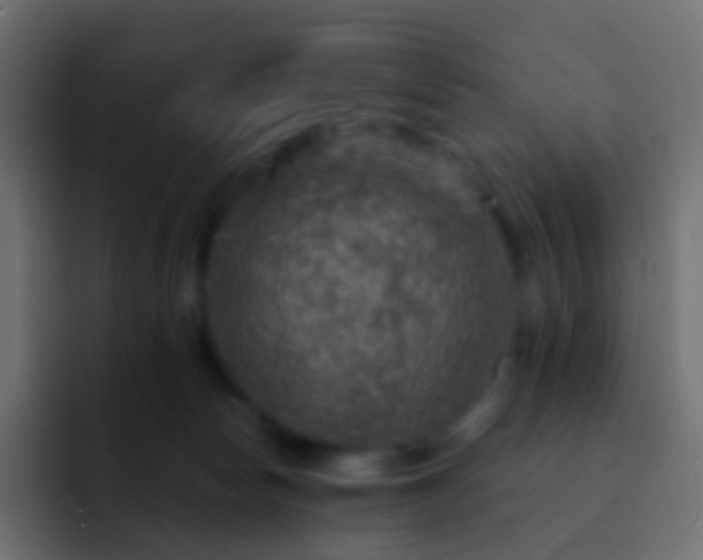 X0000093170178200710031510