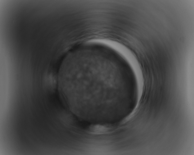 X0000093170180200710031510