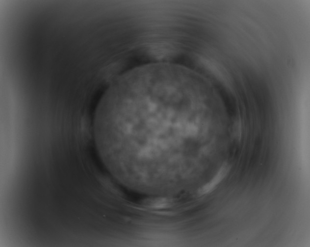 X0000093170182200710031510