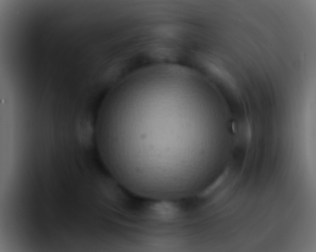 X0000093170183200710031510