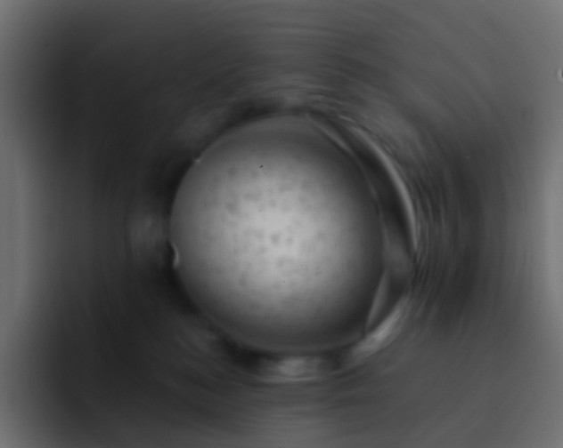 X0000093170184200710031510