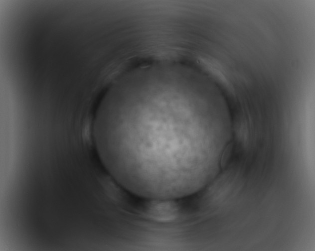 X0000093170185200710031510