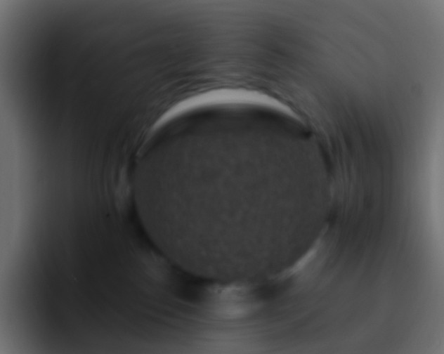 X0000093170186200710031510