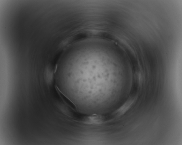 X0000093170188200710031510