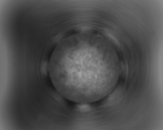 X0000093170189200710031510