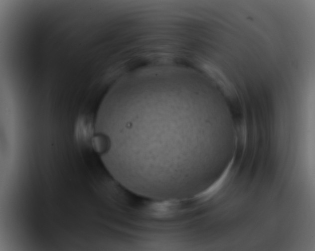 X0000093170190200710031510