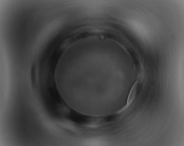 X0000093170191200710031510
