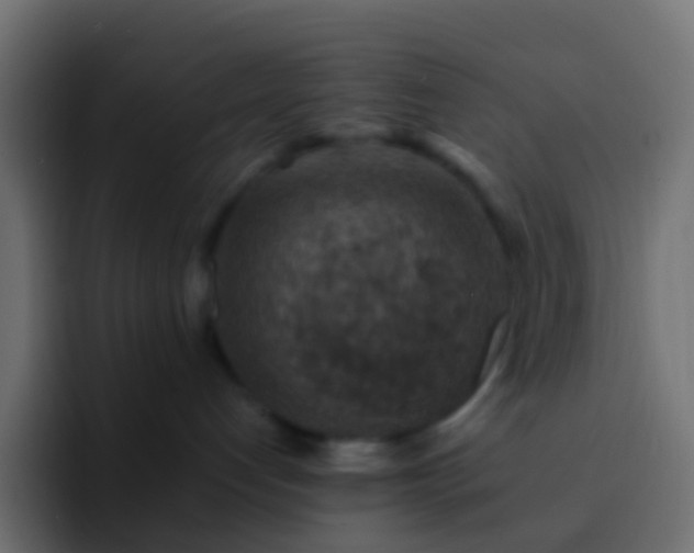 X0000093170192200710031510