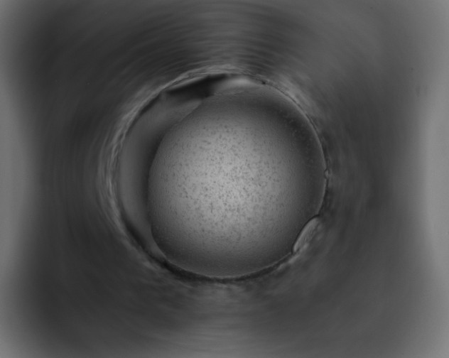 X0000093170193200710031510