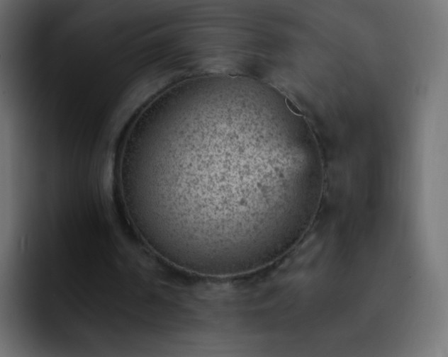 X0000093170194200710031510
