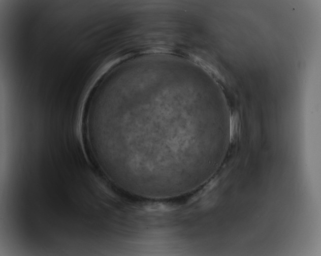 X0000093170195200710031510