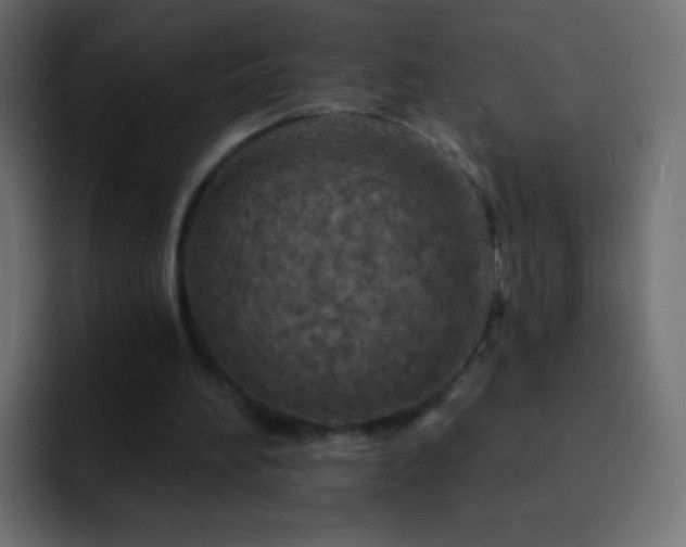 X0000093170196200710031510