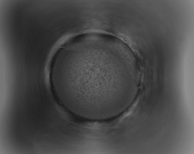 X0000093170197200710031510