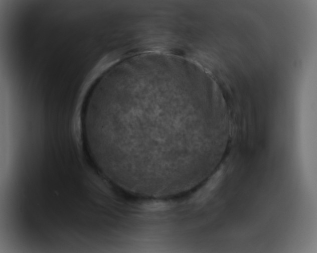 X0000093170198200710031510