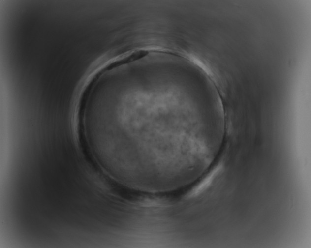 X0000093170199200710031510
