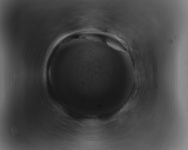 X0000093170200200710031510
