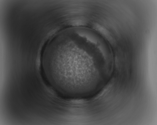 X0000093170202200710031510