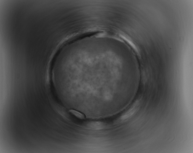 X0000093170203200710031510
