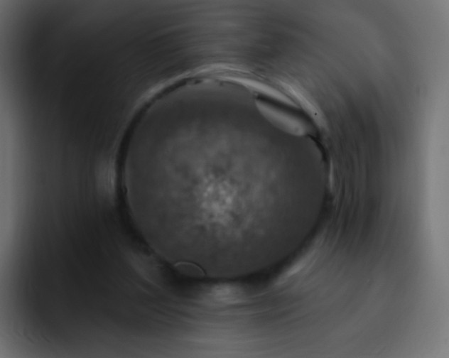X0000093170204200710031510