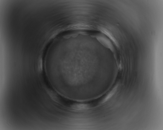 X0000093170205200710031510