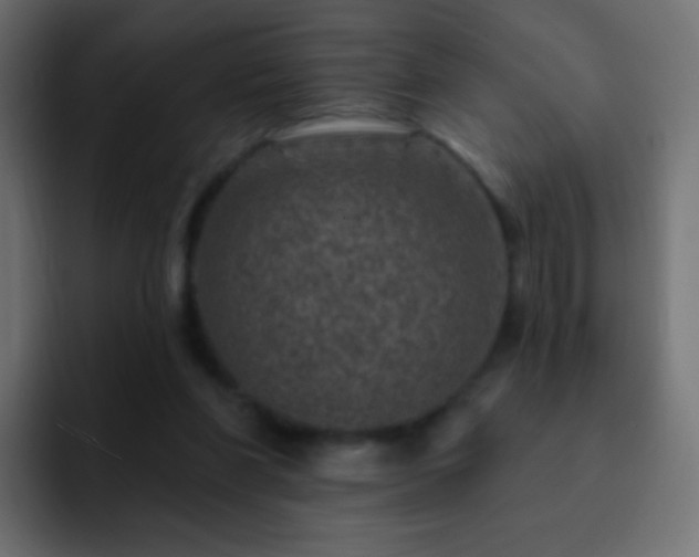 X0000093170206200710031510