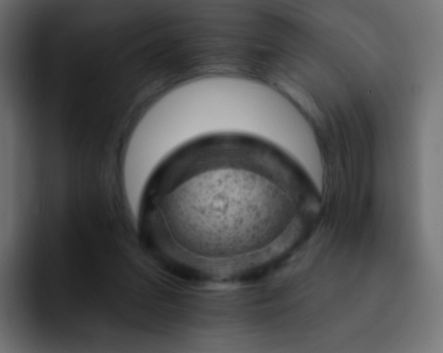 X0000093170207200710031510