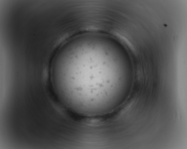 X0000093170208200710031510
