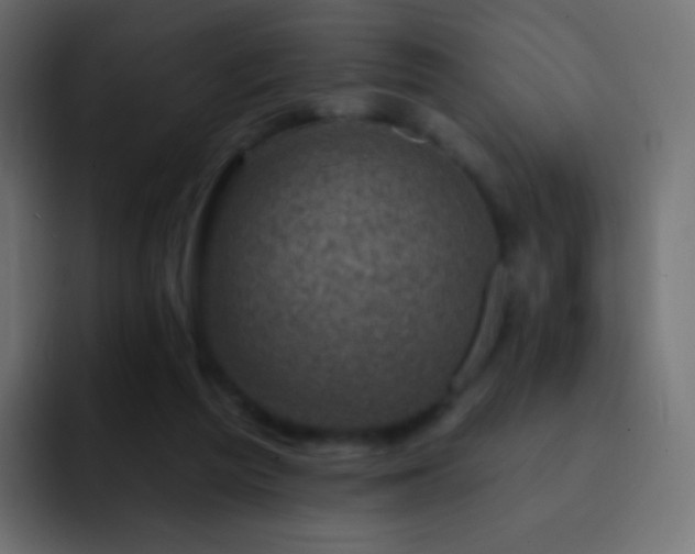 X0000093170209200710031510