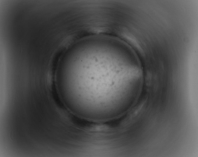 X0000093170210200710031510