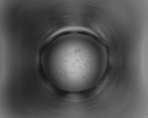 X0000093170211200710031510