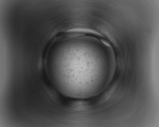 X0000093170212200710031509