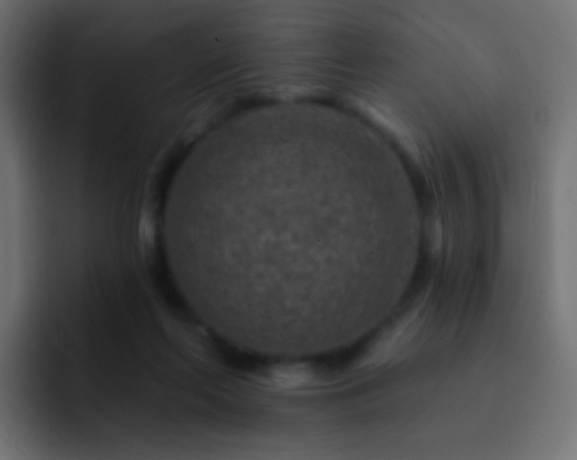 X0000093170214200710031509