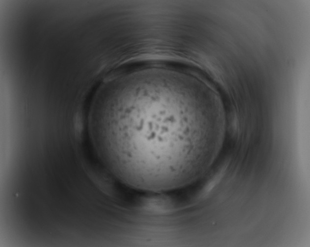 X0000093170215200710031509
