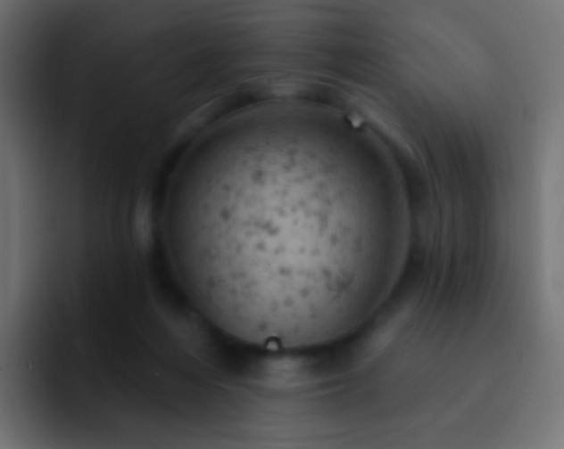 X0000093170216200710031509
