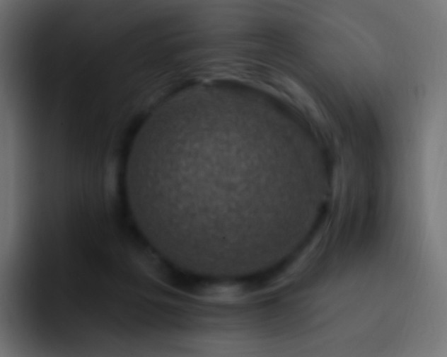 X0000093170217200710031509