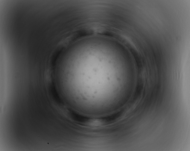 X0000093170218200710031509