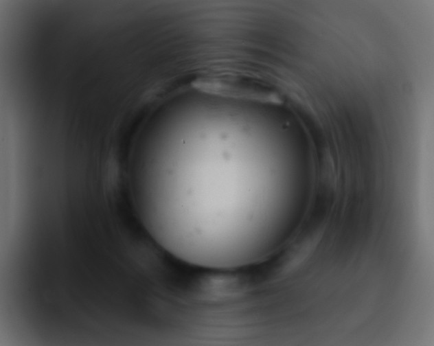 X0000093170220200710031509