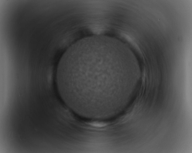 X0000093170221200710031509