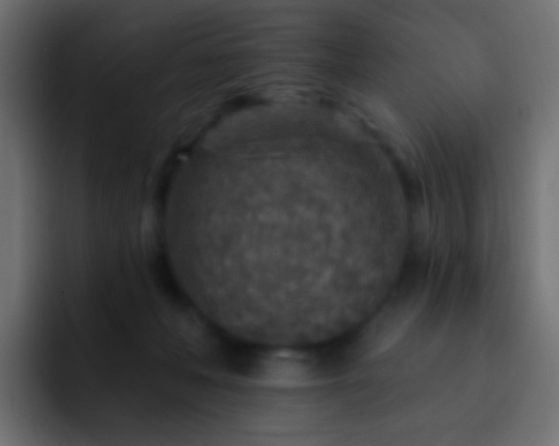 X0000093170222200710031509