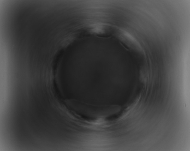 X0000093170223200710031509