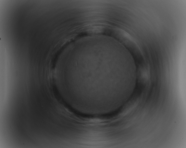 X0000093170224200710031509