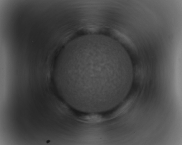 X0000093170225200710031509