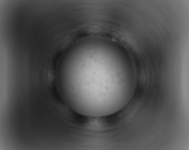 X0000093170226200710031509