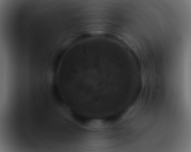 X0000093170227200710031509