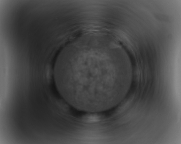 X0000093170228200710031509