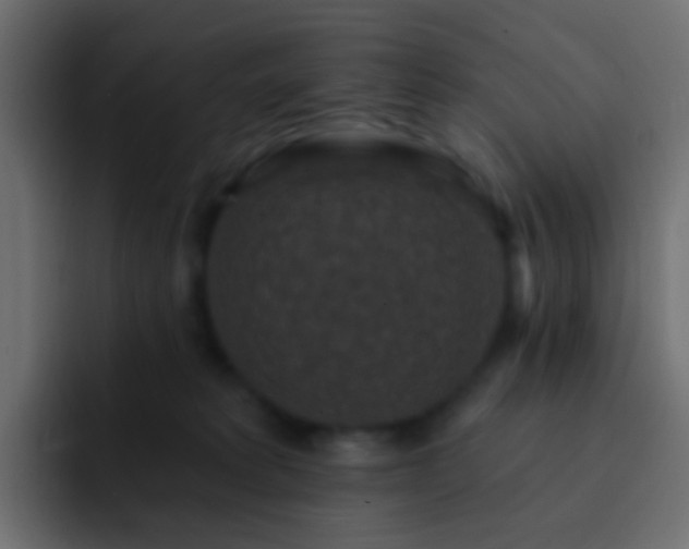X0000093170229200710031509