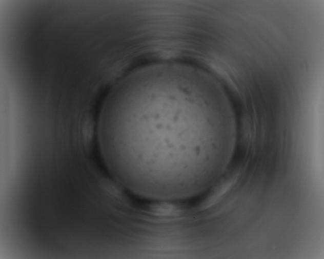 X0000093170230200710031509