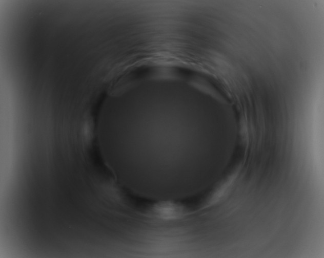 X0000093170231200710031509